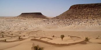 Tembaine"
