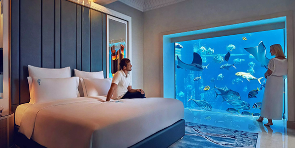 Imagen de Hotels