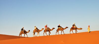 Handcrafted Trips