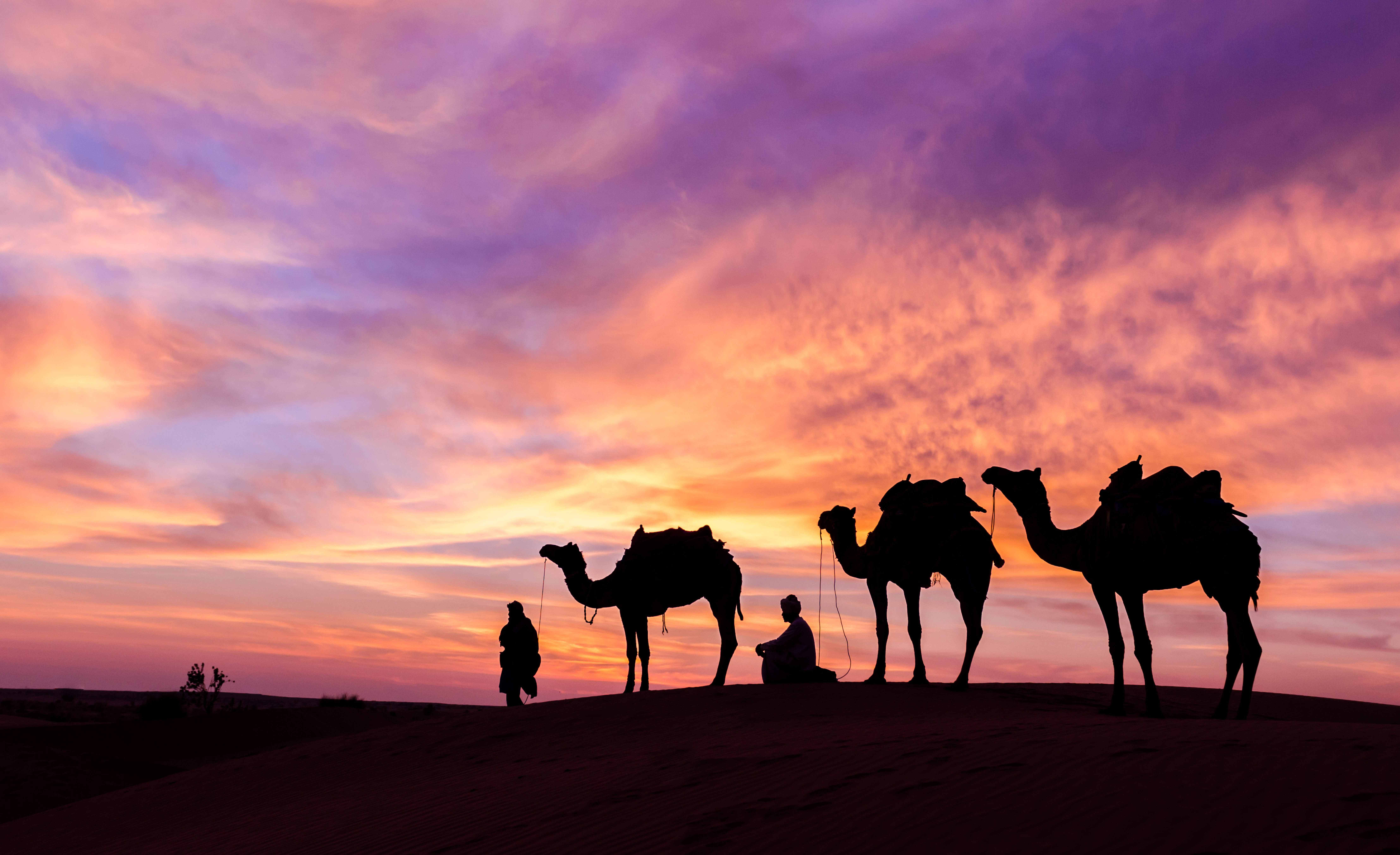 Небо караван. Караван с верблюдами в пустыне. Караван Аравийской пустыне ОАЭ. Арабы с караваном в пустыне. Караван верблюдов в пустыне.