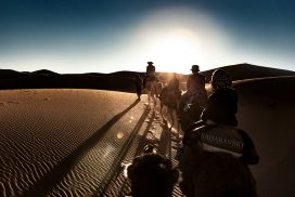 Douz: Tunisia Sahara Desert Camel Ride