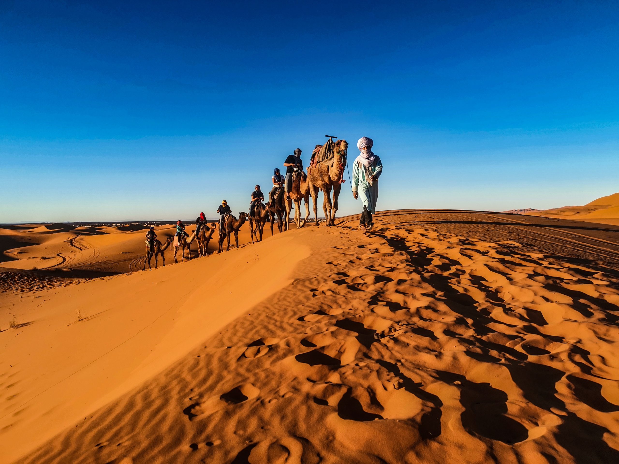 Full Day Tunisia Sahara Desert Camel Trek From Douz SAHARANSKY