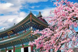 <trp-post-container data-trp-post-id='14875'><trp-post-container data-trp-post-id='14875'>8 Days South Korea Food Adventure</trp-post-container></trp-post-container>