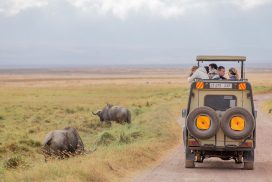 <trp-post-container data-trp-post-id='15545'><trp-post-container data-trp-post-id='15545'>8 Days Tanzania Landscapes Tour</trp-post-container></trp-post-container>