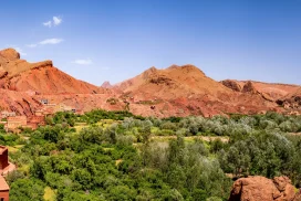 <trp-post-container data-trp-post-id='17621'><trp-post-container data-trp-post-id='17621'>From Marrakech: 3-Day Merzouga Desert Tour to Fez</trp-post-container></trp-post-container>