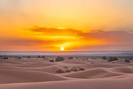 <trp-post-container data-trp-post-id='17628'><trp-post-container data-trp-post-id='17628'>From Marrakech: 4-Day Desert Tour to Merzouga Dunes with Camel Trek</trp-post-container></trp-post-container>