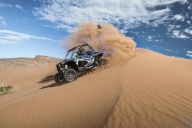 Douz: Tunisia Sahara Desert Buggy Adventure