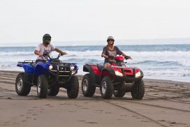 Djerba Island: Quad Biking Excursion
