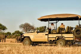 safari-4×4