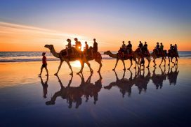 Camel Riding Experience in Djerba